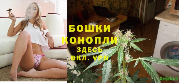 спиды Волосово