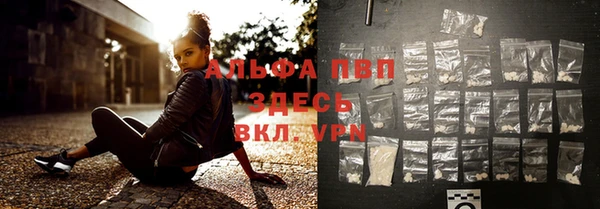 спиды Волосово