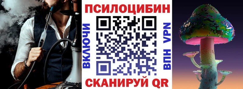 Купить где  Николаевск  Псилоцибиновые грибы Psilocybine cubensis 